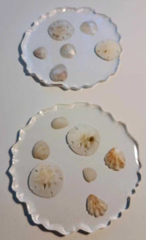 Clear Resin with Seashells