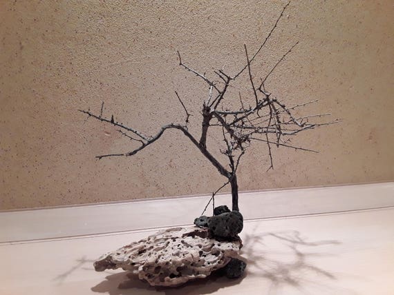 Interior Decoration Made Of Driftwood Art From Nature Etsy