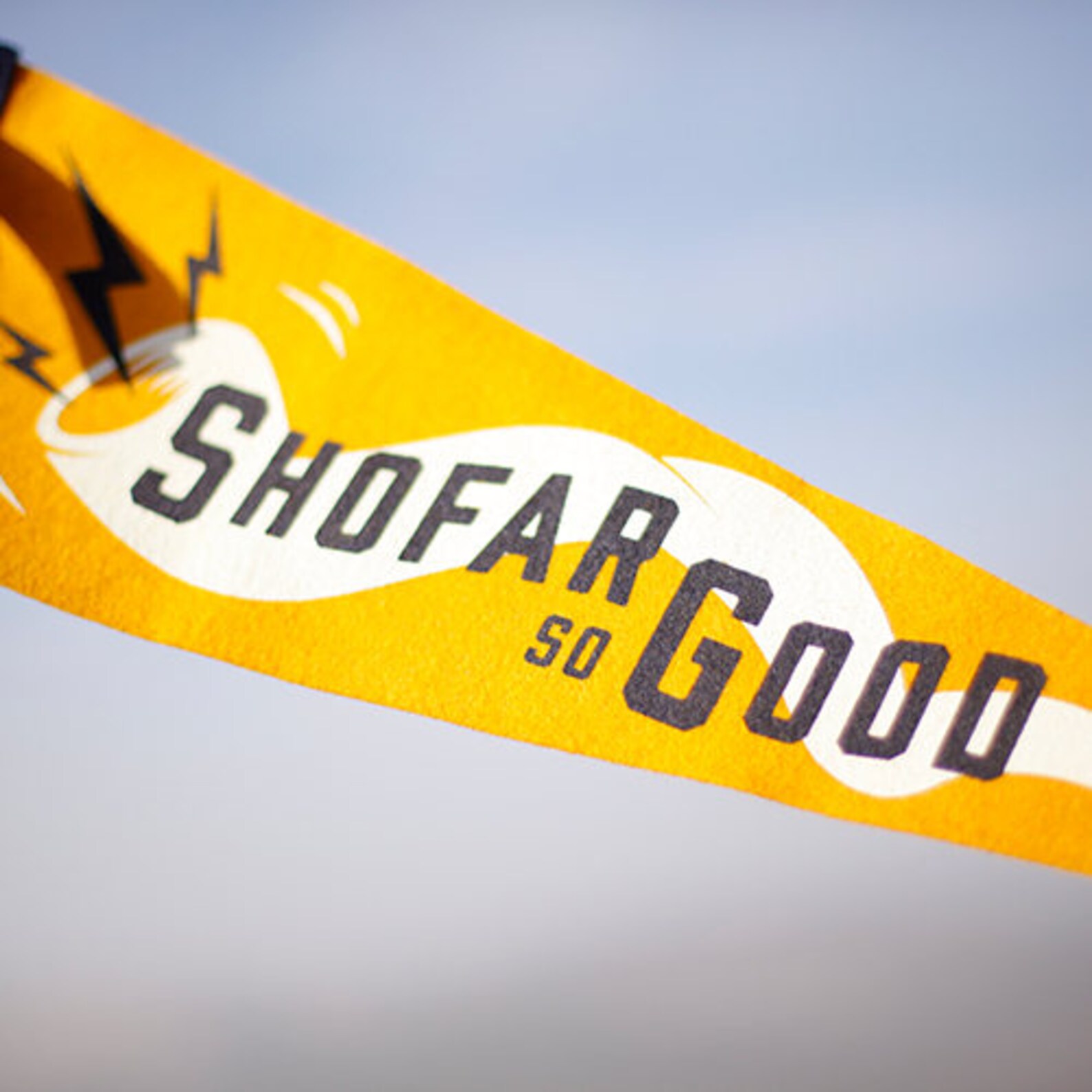 Shofar so Good Pennant Etsy