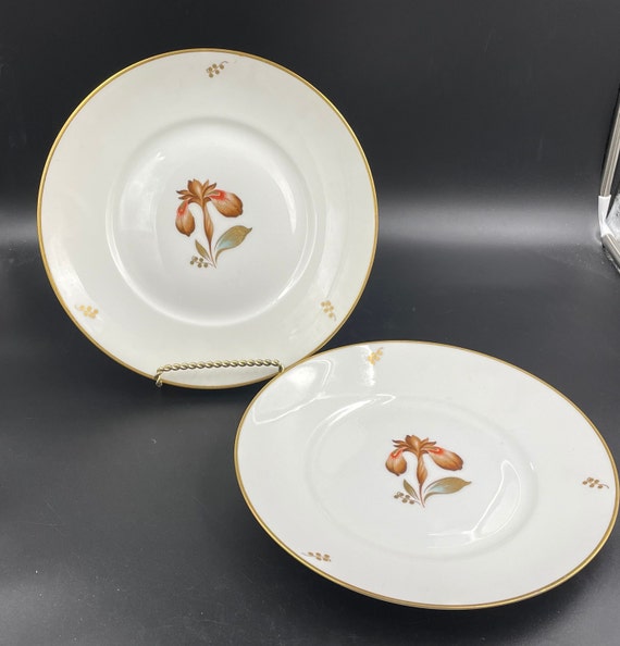 Royal Copenhagen Dinner Plates in Brown Iris Pattern in the Nordic Botanicals Line Set of 2 10 Inches Diameter Etsy