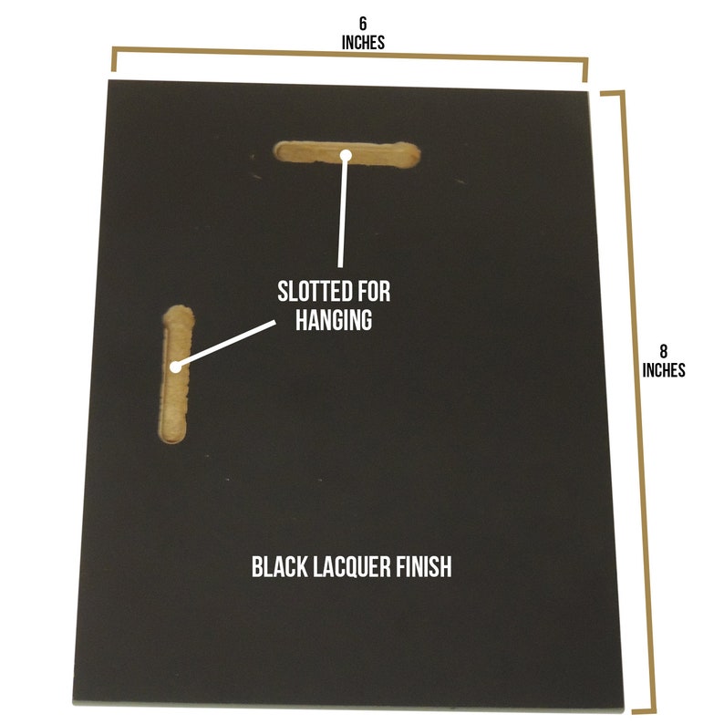 Instrument Rating Aviation Plaque Etsy