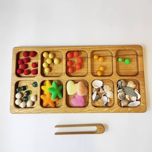 Montessori Sorting tray 10 sections educational materials gift for kids toddler toys activities child Catch All Tray Tinker Tray Loose Parts