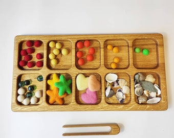 Montessori Sorting tray with 10 sections educational materials sort tray waldorf school supplies montessori school
