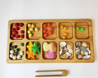 Vassoio Montessori per l'ordinamento, 10 sezioni, materiale didattico, regalo per bambini, giocattoli, attività, vassoio raccoglitutto, vassoio Tinker Tray per bambini dai 4 anni in su