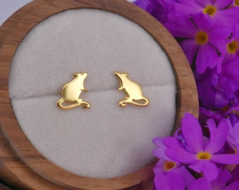 Taxidermy Rat Tail Earrings Real Rats Oddities - Etsy