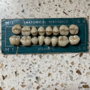 Placez les dents d'enfant. Carte anatomique Diatorics Atlantic. Ensemble antique petites dents.  Dents sur carte à des fins médicales.  Cadeau dentiste, hygiéniste.