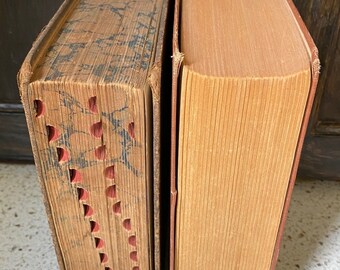 The World Book Dictionary (Two Volume Set): Clarence L