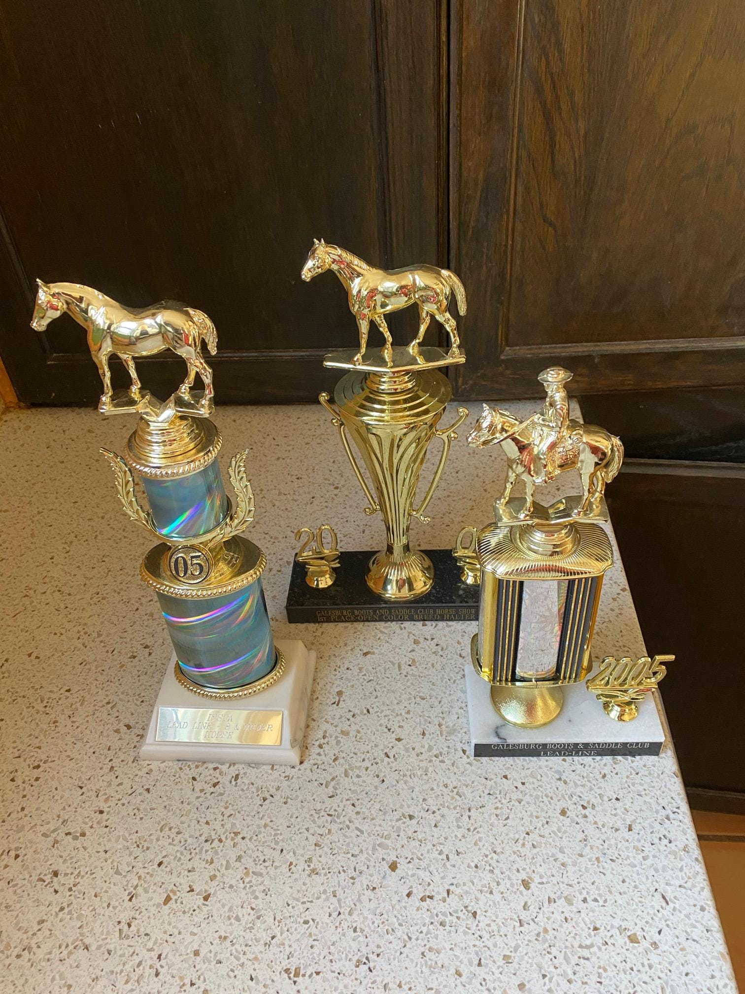 Horse Trophy. Equestrian Retro Trophy. Vintage Worn Trophy. Trophy Memorabilia. Horse Riding Trophy. You Choose.