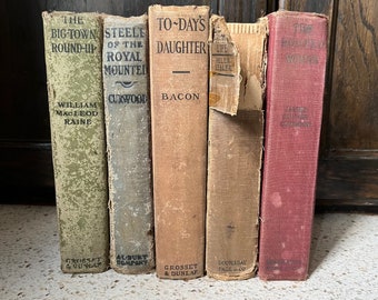 Distressed Book Set. 5 Vintage Books for Bookshelf Decor. Green, Tan, and Red Books by Color.