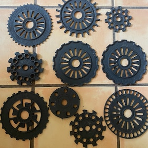 Cast Iron Plant Seeds - Etsy