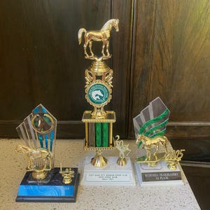 Trofeo di cavallo. Trofeo retrò equestre. Trofeo vintage indossato. Trofeo memorabile. Trofeo di equitazione. Scegli tu.