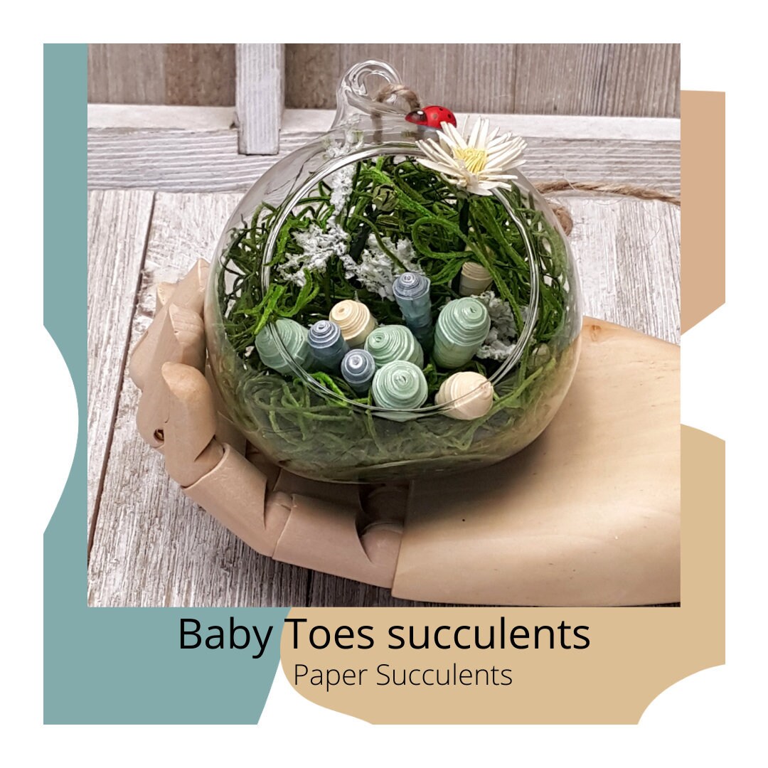 Baby Toes Succulent, Paper Succulent, Blue, Paper Plant Australia