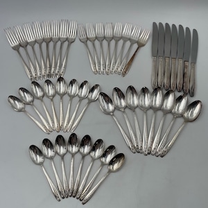 VTG 50s 1953 47 pc Silver Plate Wm Rogers Starlight Floral Flower Pattern Set