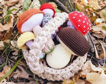 Crochet mushroom set in a basket, 6 mushrooms, Crochet play food, Waldorf toy.