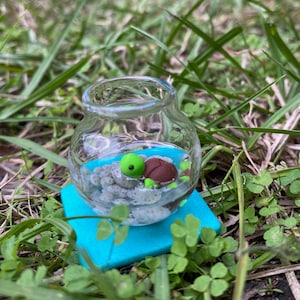 Mini Turtle Tank, Polymer Clay Turtle, Turtle Fish Bowl, Garden Decor, Fairy Garden, Miniatures