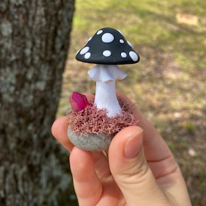 Black Mushroom with Pink Crystal on Rock Figurine, Fairy Garden Mushroom Decoration, Mushroom on Rock, Polymer Clay Mushroom