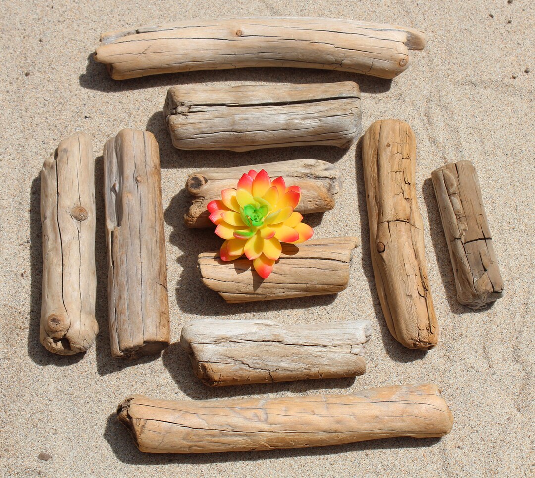 Freshwater Driftwood Driftwood Rounds Unique Driftwood Wood Etsy