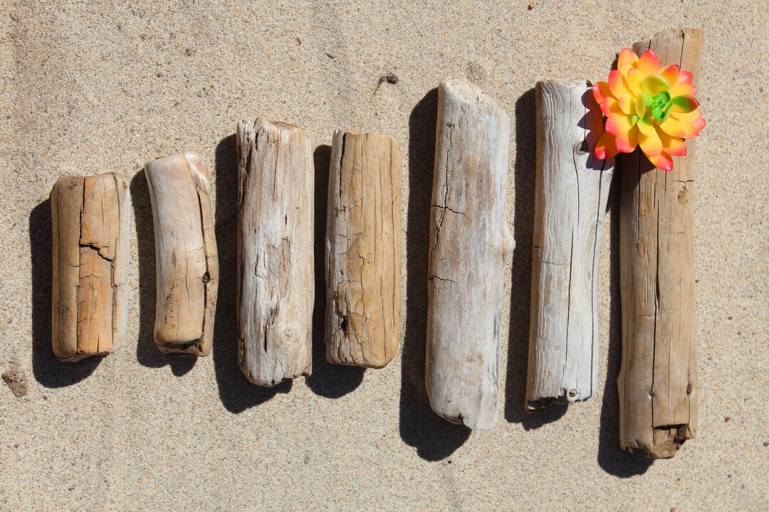 Freshwater Driftwood Driftwood Rounds Unique Driftwood Wood Etsy