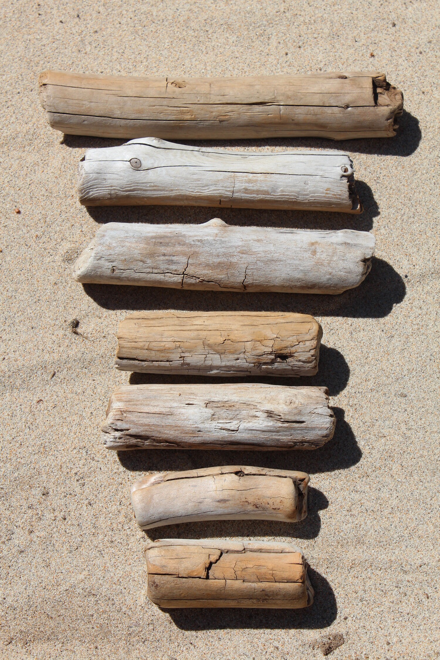 Freshwater Driftwood Driftwood Rounds Unique Driftwood Wood Etsy