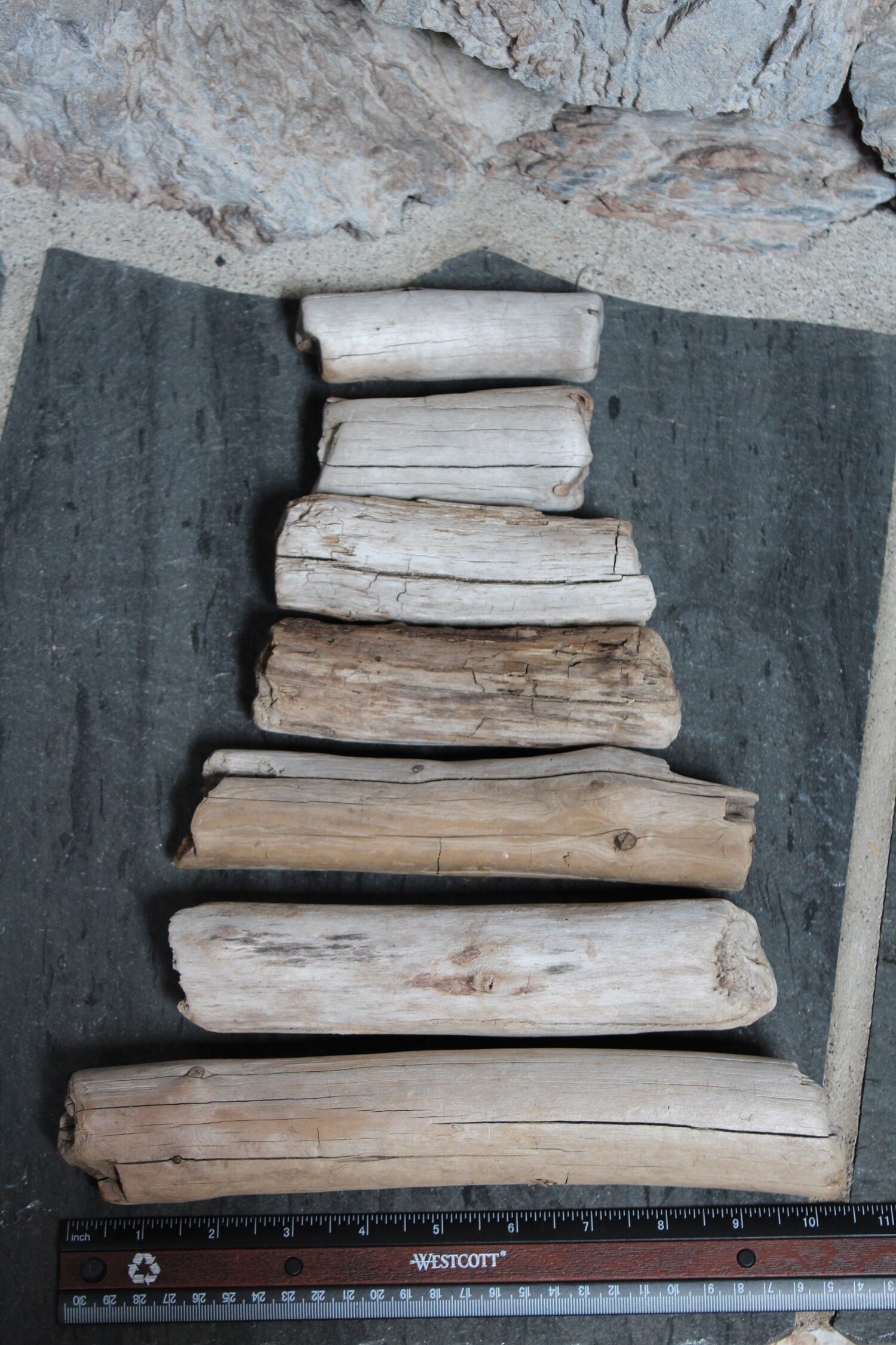 Freshwater Driftwood Driftwood Rounds Unique Driftwood Wood Etsy