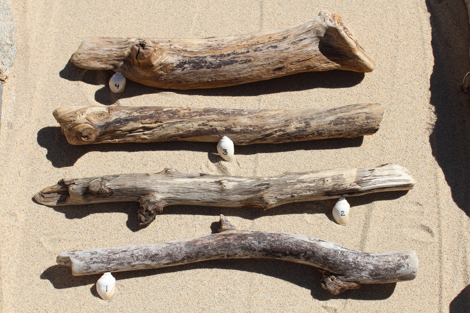 Driftwood Freshwater Driftwood Beach Decor Unique Etsy