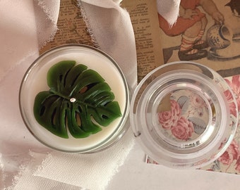 Plant lover soy candle (7oz)