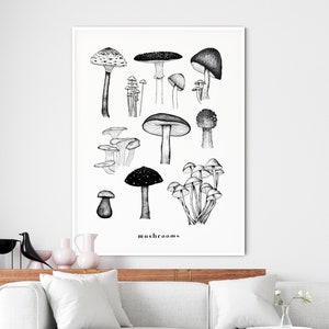 May include: Black and white line drawing of various mushrooms. The drawing is framed and hanging on a white wall above a couch.