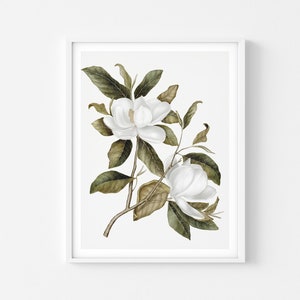 BOTANICAL PRINT, Magnolia Flower Art Prints, Floral Printable Wall Art, Digital Download