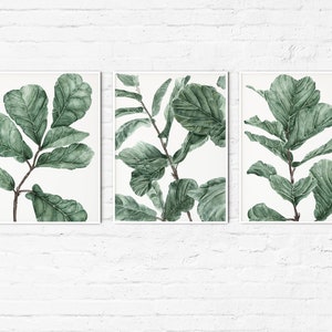 Puede incluir: Tres impresiones enmarcadas de pinturas de acuarela de hojas verdes. Las hojas están dispuestas en un patrón vertical y tienen un fondo blanco.