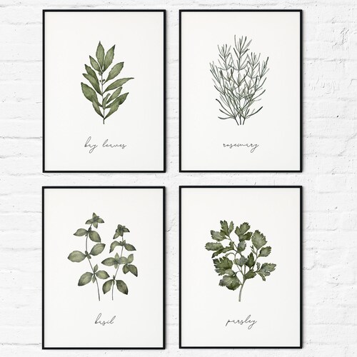 HERB SET of 6 PRINTS Herbarium Wall Art Kitchen Printable - Etsy