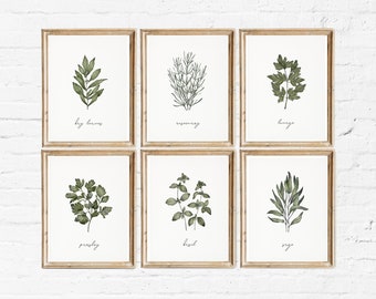 Juego de 6 láminas de hierbas, arte de pared para cocina, galería de vegetación (descarga digital)