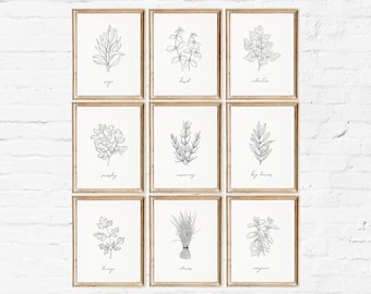 Herb Prints Set of 9, Botanical Line Art, Kitchen Wall Decor (Digital Download)
