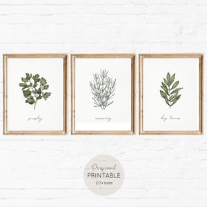 Herb art prints for kitchen, printable wall art set of 3, digital download