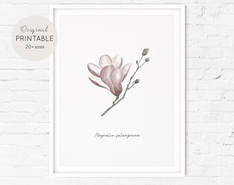 Blush pink magnolia flower poster, printable wall decor,  home gift