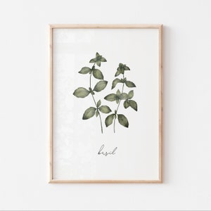 BASIL HERB PRINT - printable wall art for kitchen, digital download