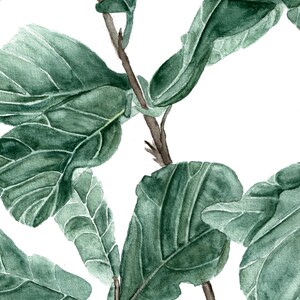 Fiddle Leaf vijg aquarel kunstprint set – botanische wanddecoratie (digitale download) afbeelding 5