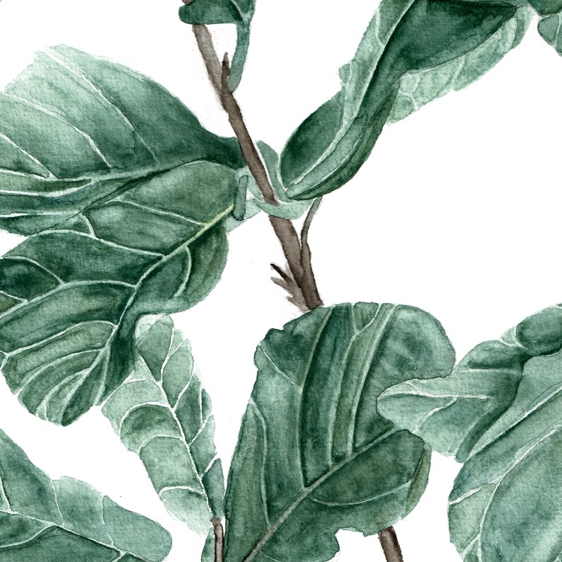 FIDDLE LEAF FIG Art Print Wall Set of 3 Piece Printable Tree Etsy