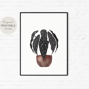 Plant Art Print, Begonia Maculata Polka Dot, Botanical Houseplant Illustration, Digital Download
