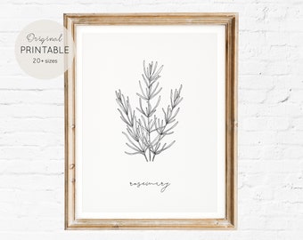 ROSEMARY HERB PRINTS - Kitchen Wall Art, Herb Printable, Digital files