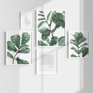 Op de afbeelding: Vijf ingelijste prints met witte lijsten en witte passe-partouts. De prints tonen aquarel illustraties van groene bladeren. Een print toont een handgeschreven brief.