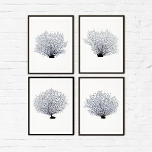 Nautical Decor, Coral Wall Art, Printable set of 4 prints, Indigo Hamptons style, Coastal bathroom,  Beach Wall Decor, DIGITAL DOWNLOAD