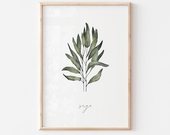 SAGE HERB PRINT, botanical kitchen printable wall art, digital download