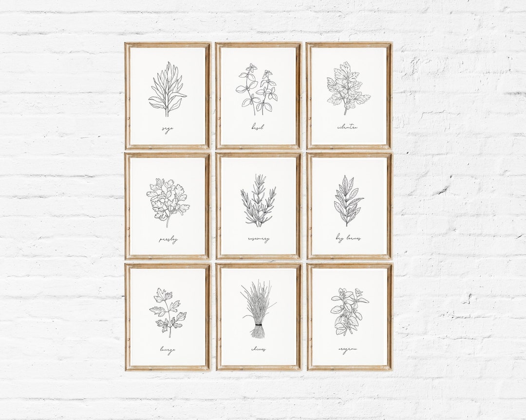 Herb Prints Set of 9 , Printable Kitchen Wall Art Set, Black and White ...