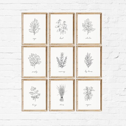 Herb Prints Set of 9 Printable Kitchen Wall Art Botanical - Etsy
