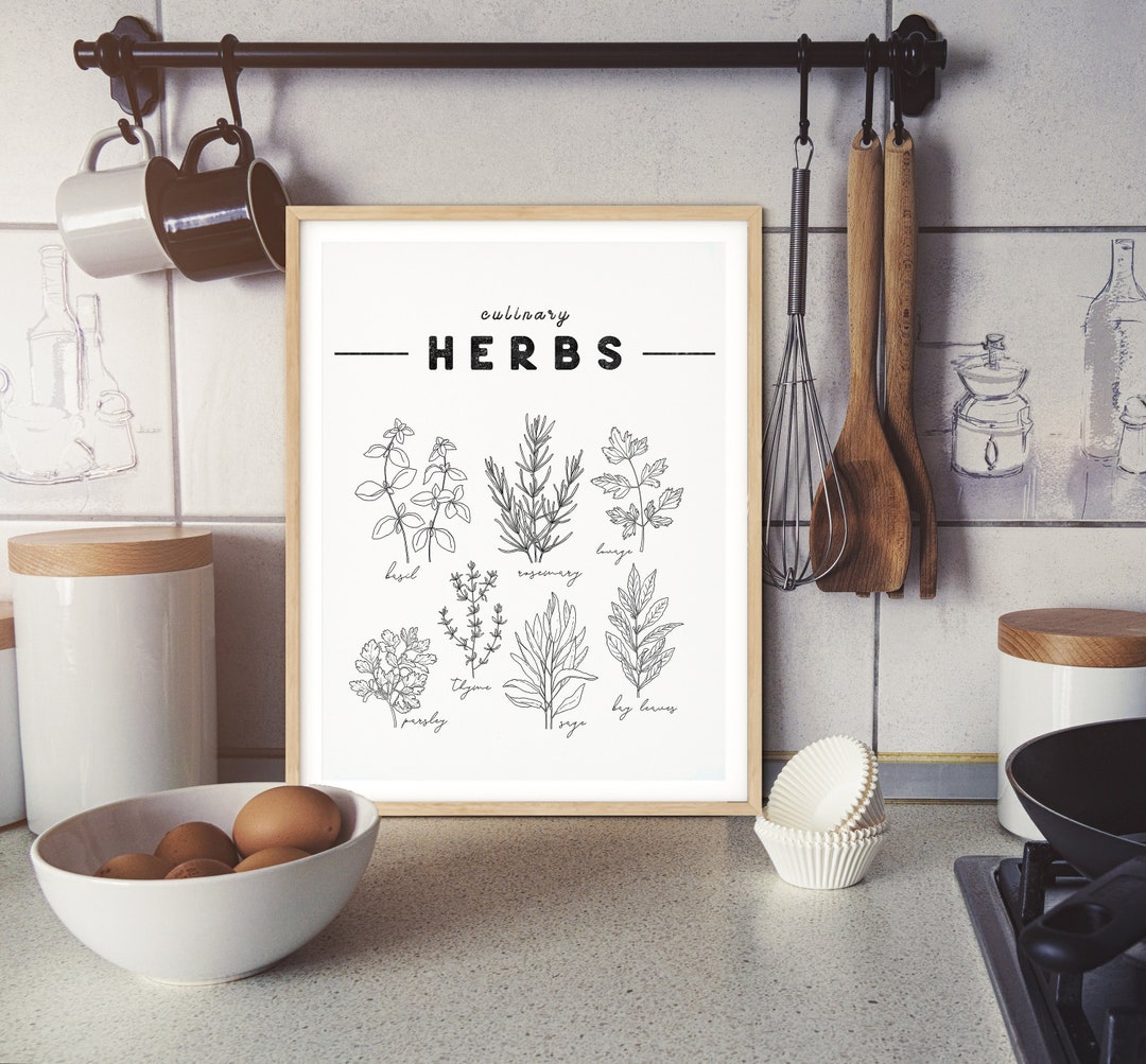 KITCHEN HERB PRINTS - Printable Wall Art , Chart Poster, Aesthetic ...