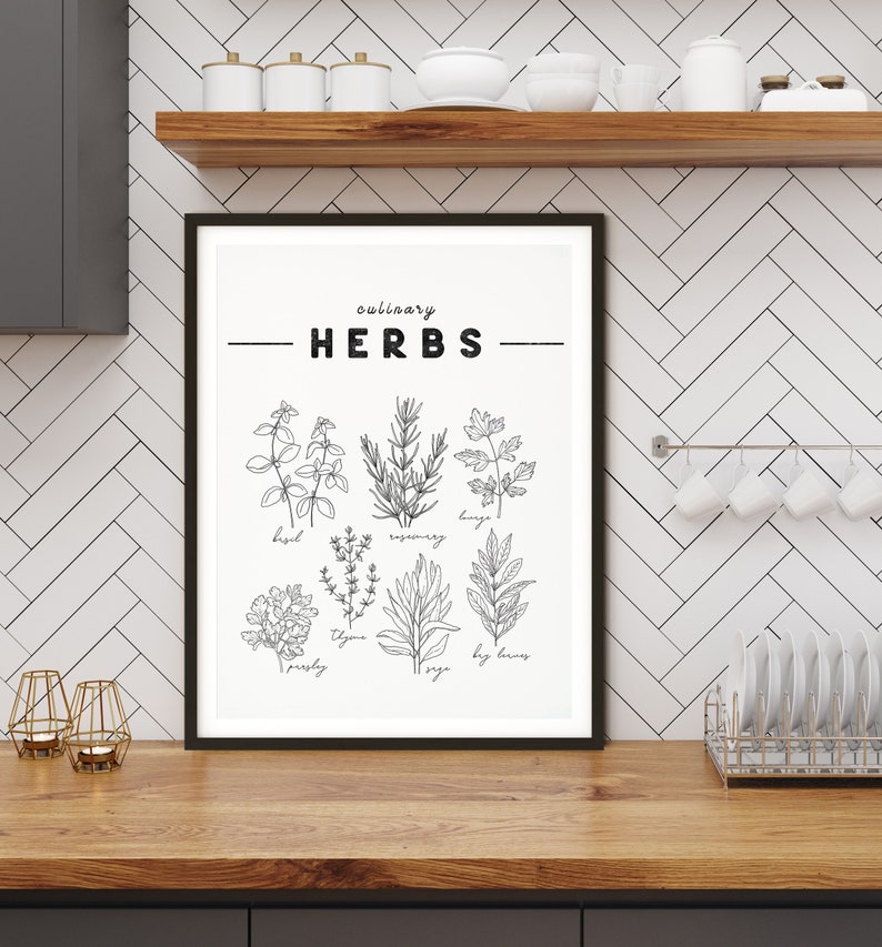 KITCHEN HERB PRINTS - Printable Wall Art , Chart Poster, Aesthetic ...