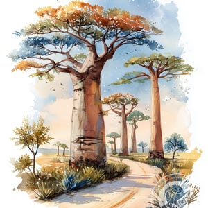 May include: Watercolor painting of baobab trees with a dirt road winding through them. The trees have thick trunks and colorful foliage in shades of orange, green, and blue. The sky is a mix of blue and white.