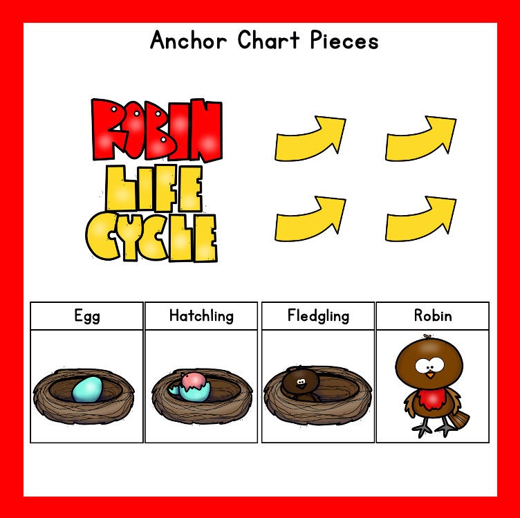 Robin. Watch Chart Robin Life Cycle | Digital Download Products | Teacher Resources - Etsy