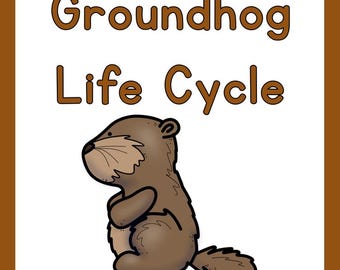 Groundhog Life Cycle | Digital download products | Teacher resources