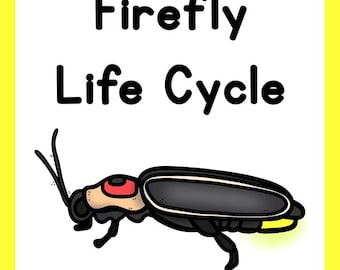 Firefly Life Cycle | Digital download products | Teacher resources